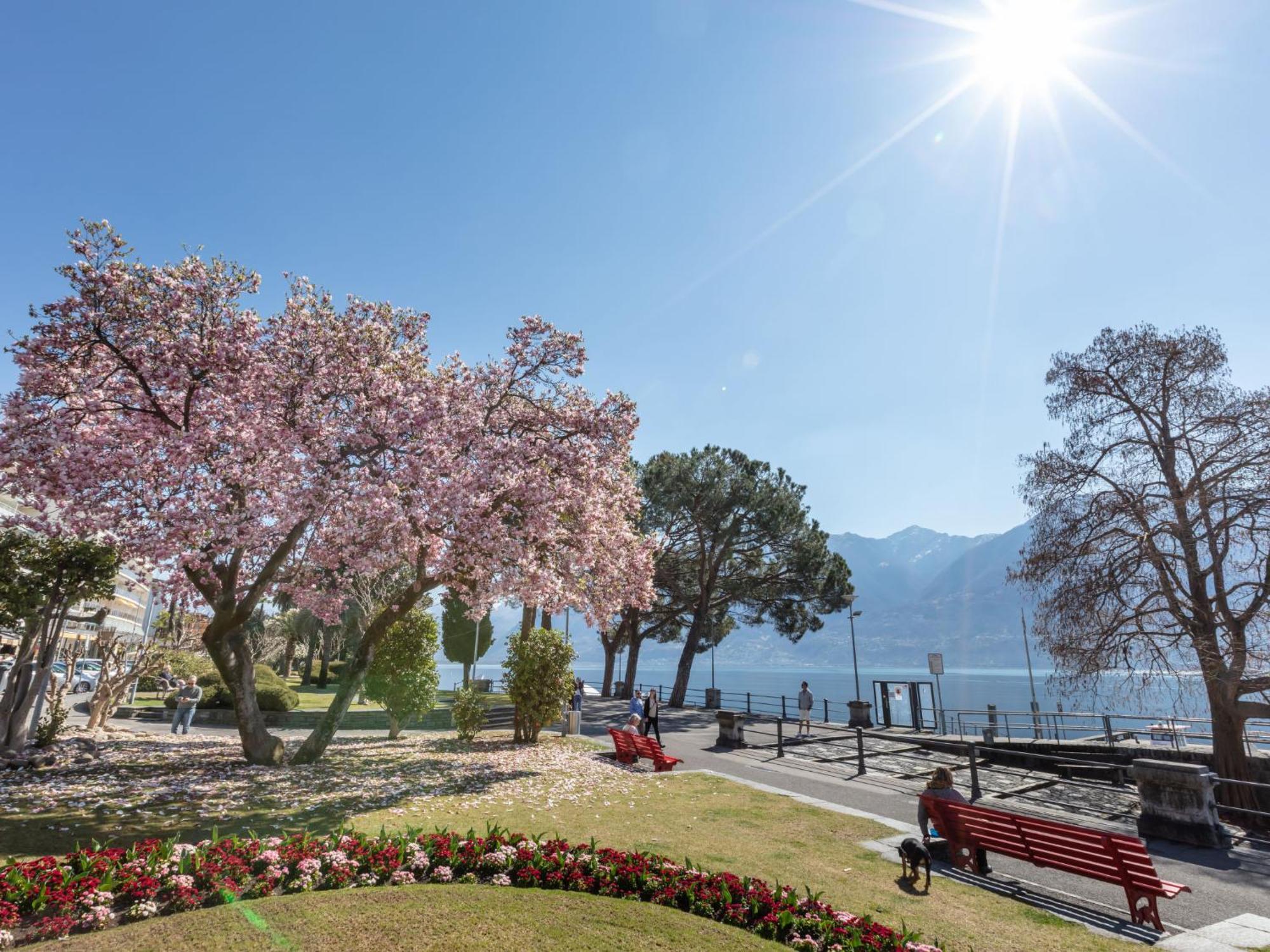 Appartments Da Gina-1 By Interhome * Ascona